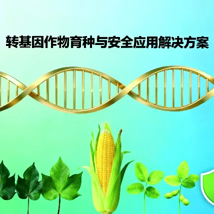 Genetically Modified Crop Breeding and Safe Application Solutions