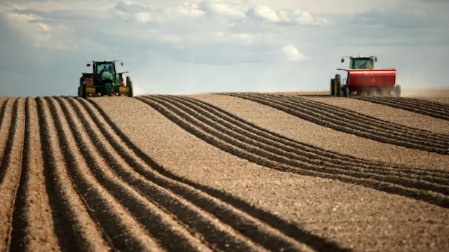 Peanut planting base scene