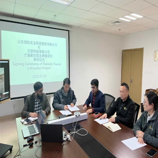 A Peanut Builds a Bridge of Cooperation - Shandong Runbai Agriculture Creates a 