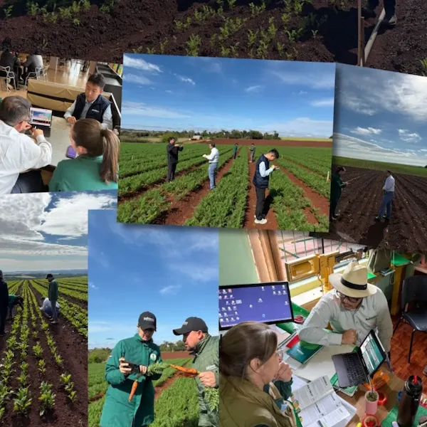 "Weifang's Strength" in the Global Agrochemical Landscape--Runfeng Co.