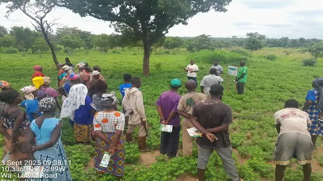 Overseas team collaboration