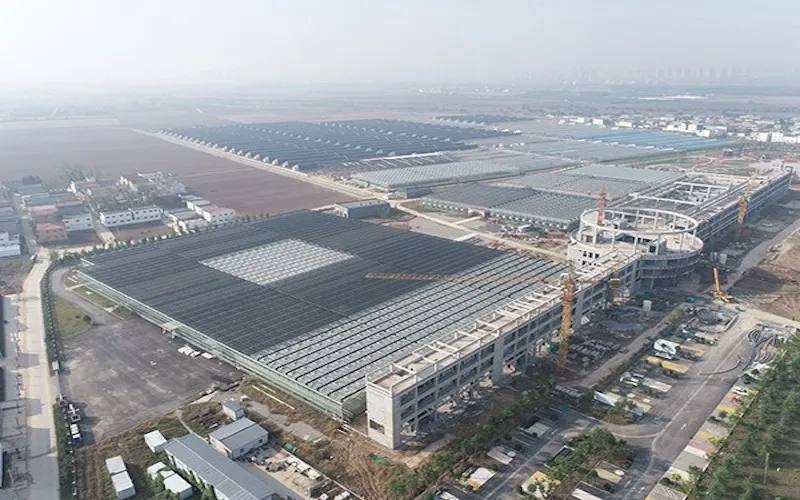 41,800㎡ Multi-Span Glass Greenhouse in Zhoukou, Henan