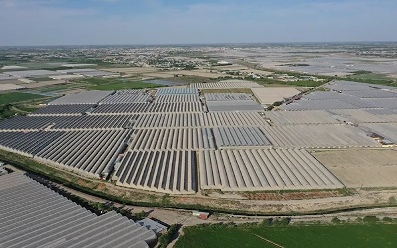 Bukhara Greenhouse in Uzbekistan