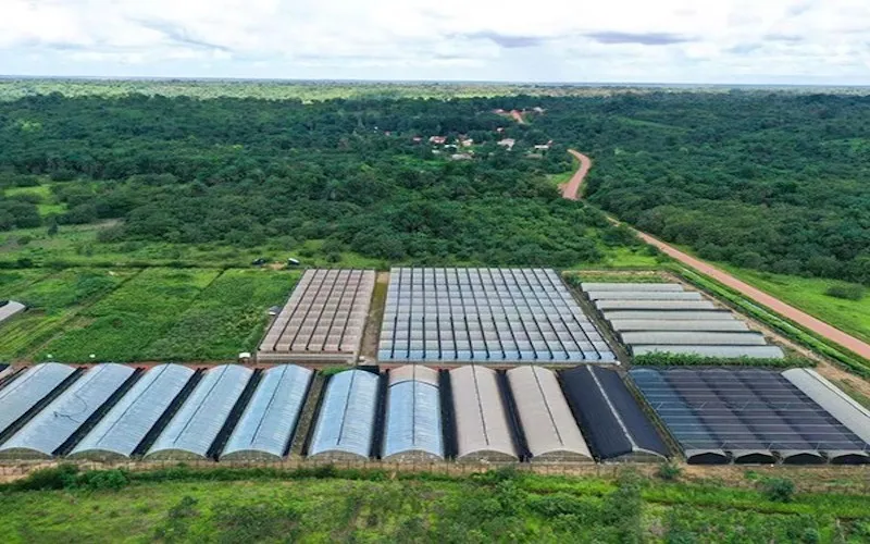 Guinea Greenhouse Project
