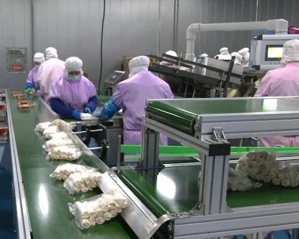 Agricultural Product Deep Processing Link