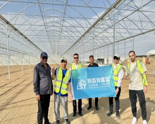 Global Market Expansion