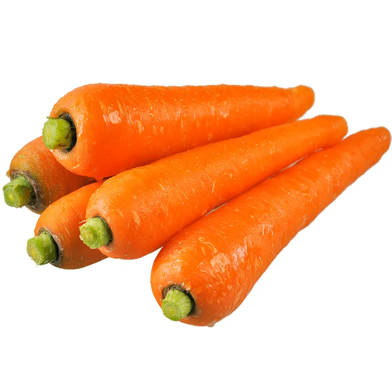 Fresh Organic Carrots Premium Vegetable Food