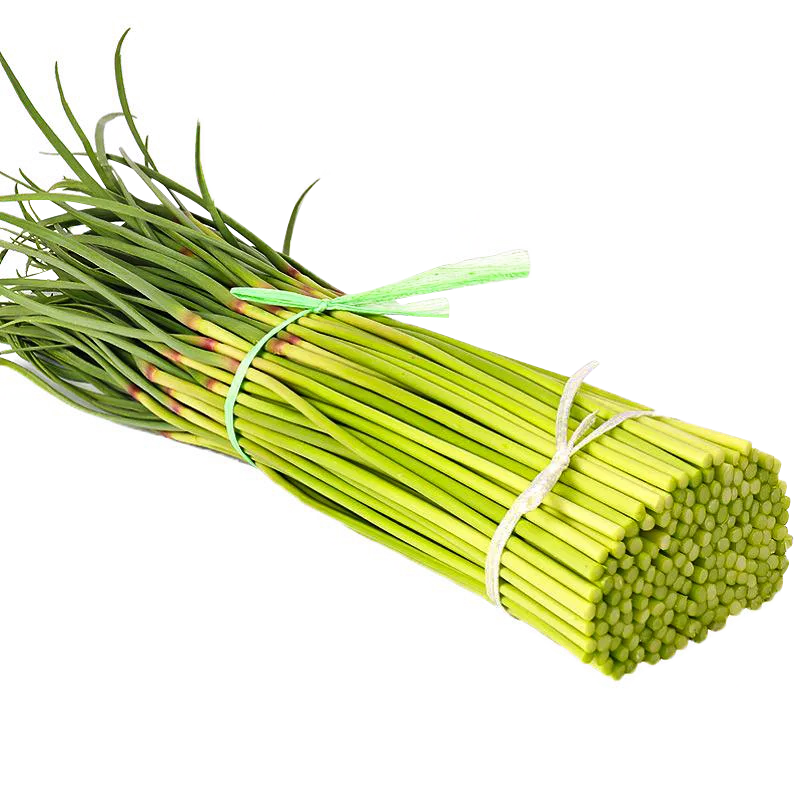 Fresh Garlic Sprout