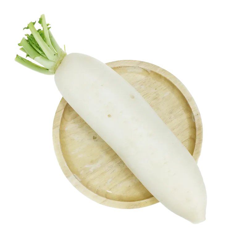 Fresh White Radish