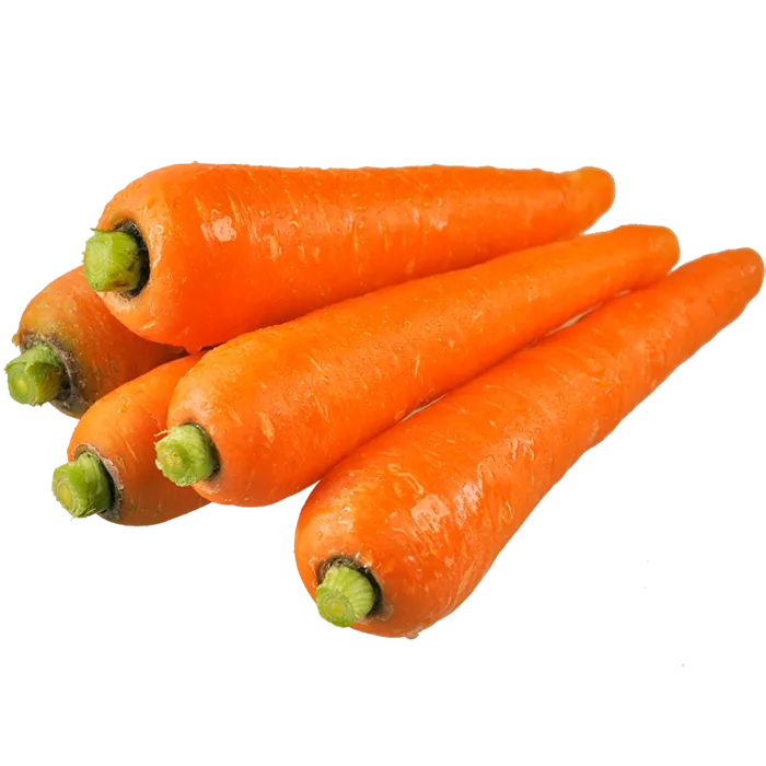 Fresh Carrot