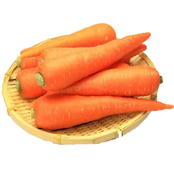 carrot