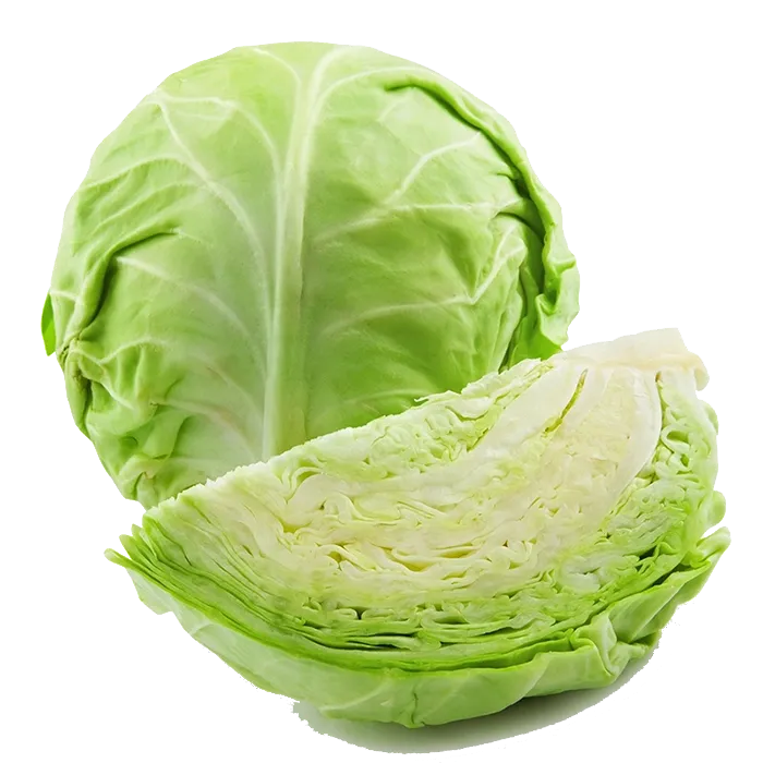 Cabbage