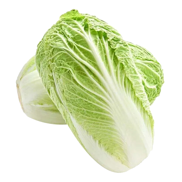 Chinese Cabbage
